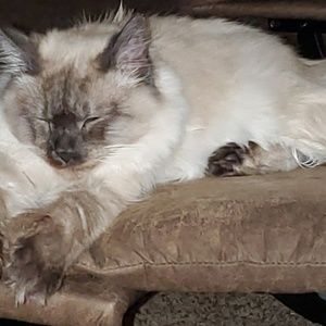 Meet your Posher, Julie